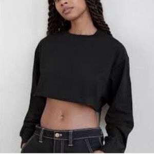 NWT Aritzia Azure Skies Laid Back Pewter Grey Cropped Oversized Long Sleeve Top